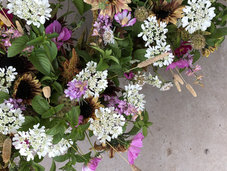 Newsletter: July 2020