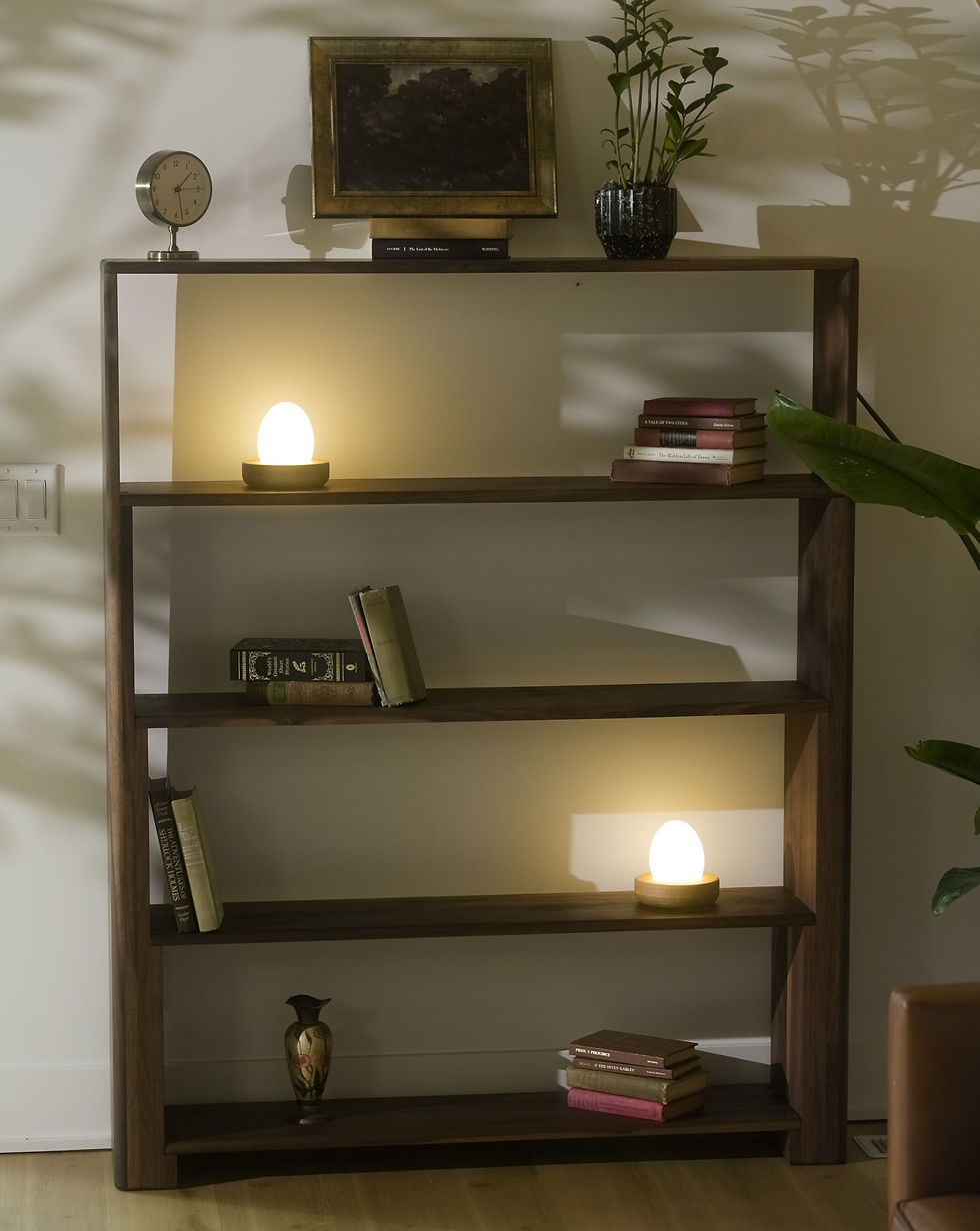 Thumbnail: "Reflection" Shelf