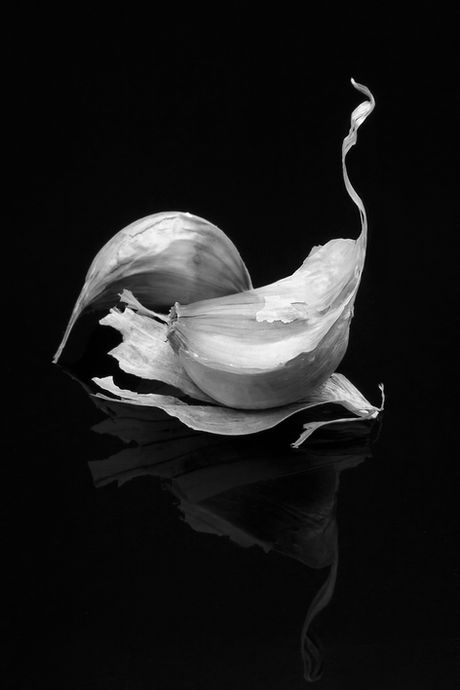 garlic-cloves- b&w.jpg