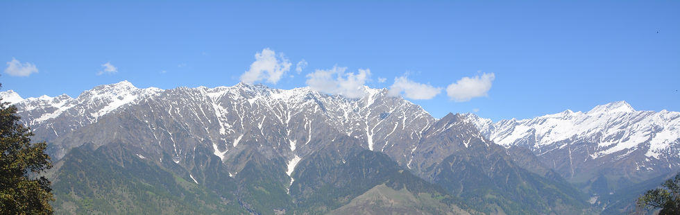 HEADER.JPG