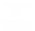 TEMPLATE TECK TESLA (2).png