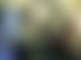 INFOS, MEINUNGEN UND MANIPULATION