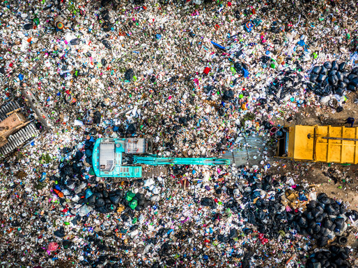 Circular Design-out waste in action - successful case study analysis