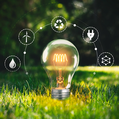 Mercado de calçados cresce com foco sustentável