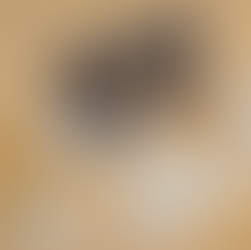 Balança comercial tem segundo melhor resultado para janeiro