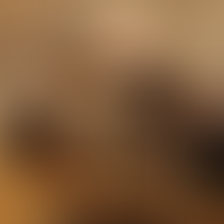 Azzas 2154 descontinua projeções financeiras