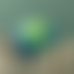 Coface vê PIB mundial desacelerando pouco em 2026