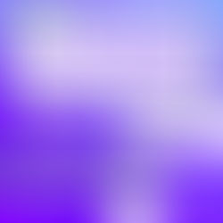 Live gratuita: Qual o Melhor Modal para sua Importação?