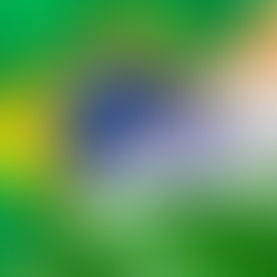 Comércio Brasil–Índia quase triplica e indústria cobra avanço em acordo bilateral