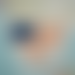 EUA: sistema de reembolso de tarifas entre 40% e 80%