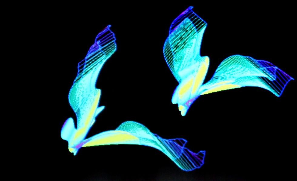 Flying Mesh installation photo