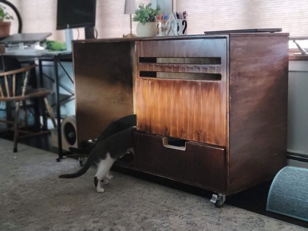 Thumbnail: Custom Solid Wood Cat Enclosure Litter Box House Cabinet Furnitur