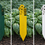 Thumbnail: Color Wooden Garden Markers – Plant Labels for Vegetables & Herbs