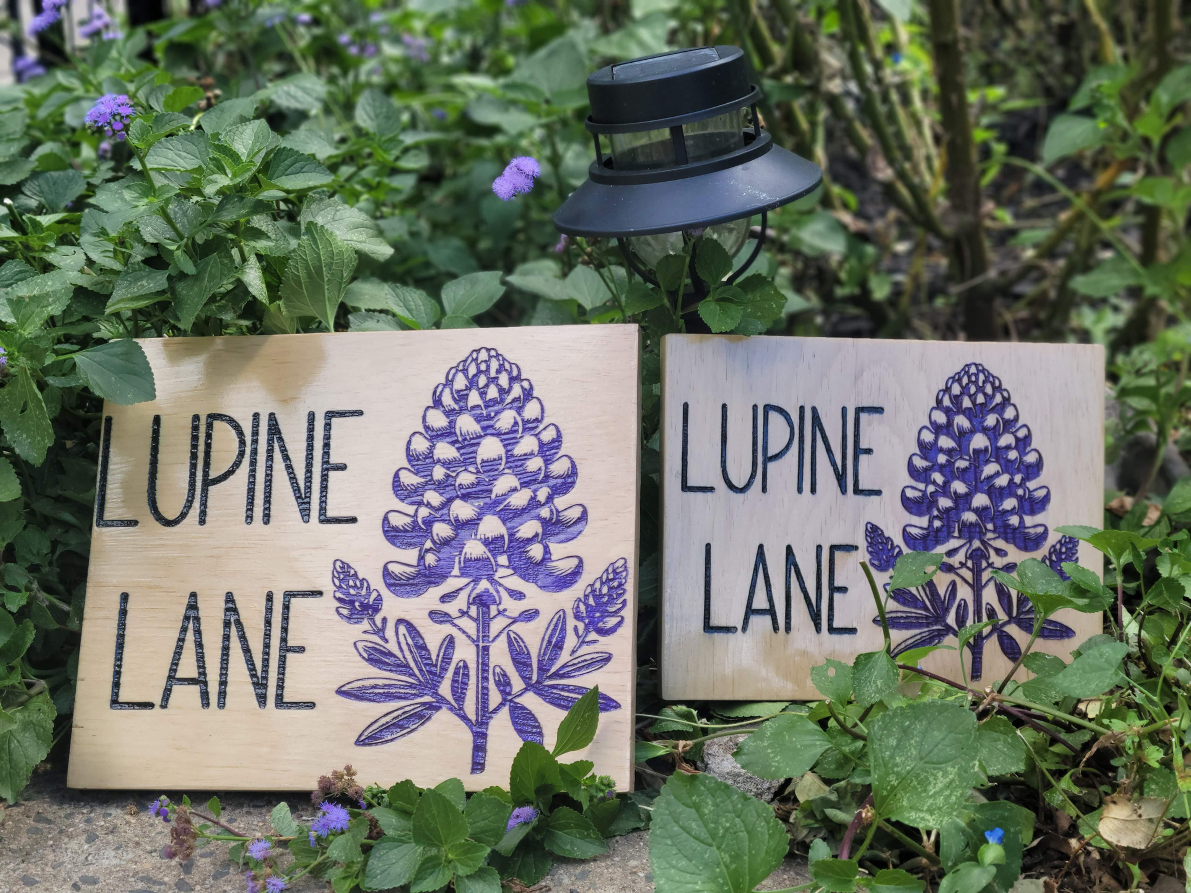 Custom Engraving Personalized Garden Outdoor/Indoor Hand Painted Decor Signs