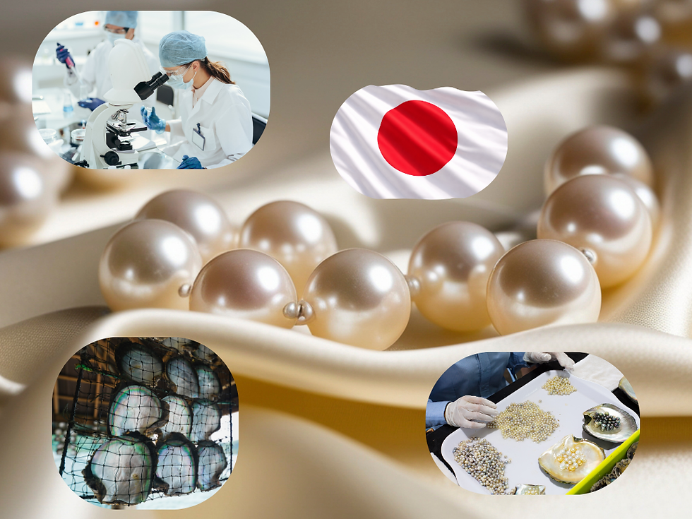 Japanische Zuchtperlen und moderne Perlenzucht – Forschung, Austernkulturen und Verarbeitung von Perlen in Japan