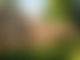 Enhancing Curb Appeal: Innovative Trends From Portland Fence Contractors