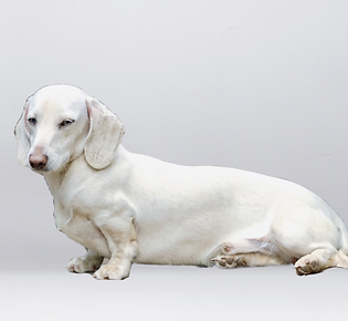 427924166_1838916923207906_5732007815059