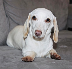 427945767_1838916439874621_3934744664612