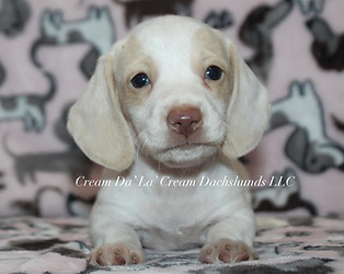 431807772_1857223118043953_9750949973352