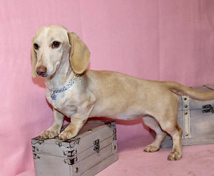 427861412_1838945359871729_8084664942246