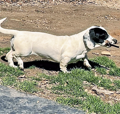 427964517_1838916863207912_1702915718223