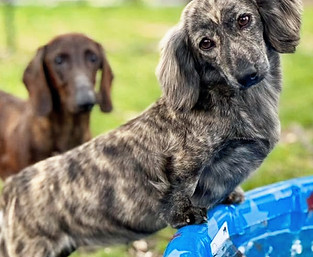 607650831_122107624491153751_65219781844