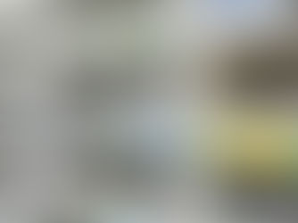 Rastreabilidade de Medicamentos Veterinários: Por Que Esse Tema Ganhou Prioridade no Mercado B2B