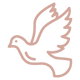 dove.png