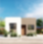 WEBSITE ESF-05.png