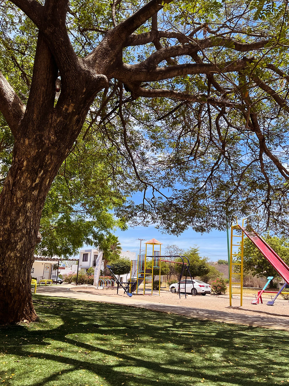 PARQUE.jpg