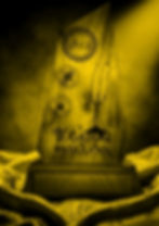 Copy of GAWAD PROFILE (1)_edited.jpg