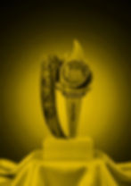 Copy of GAWAD PROFILE_edited.jpg