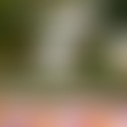 Fauncee Piknik Halloween