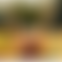 A woman with her back to the camera, arms raised in the air, standing in a bright field of sunflowers — expressing freedom, hope, and emotional release.