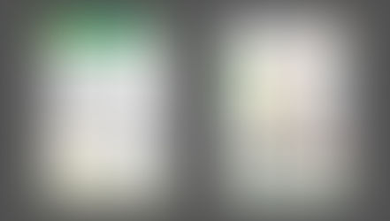 市政報告Vol.6を発行しました