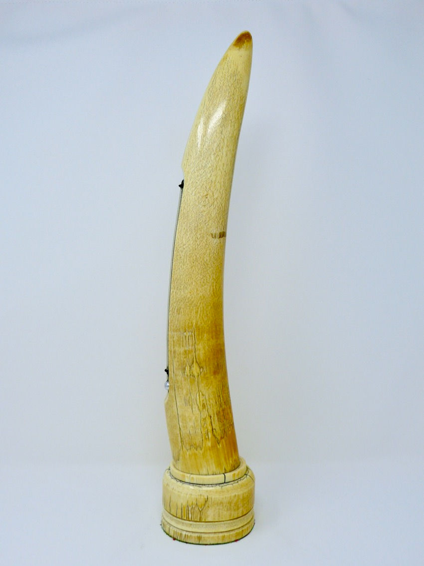 Miniatura: Termómetro Antiguo en Colmillo de Marfil Origen Ingles S. XIX