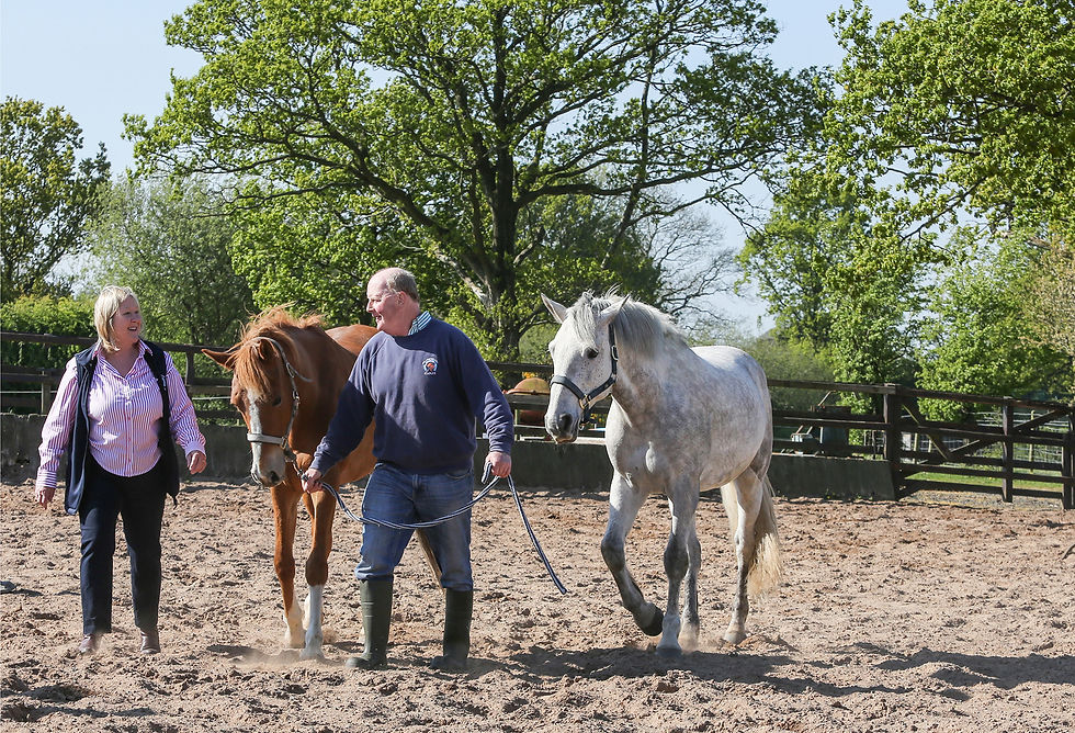 WALKING_SIMONE_CHARLES & HORSES.jpg