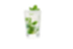 Mojito flavor