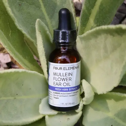 Four Elements Mullein Flower Oil