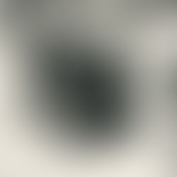 Minette et Rumi, 2 nouvelles princesses à l'adoption !