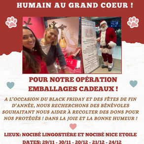 Nous cherchons des bénévoles !