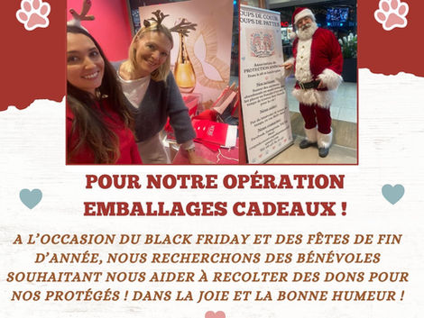 Nous cherchons des bénévoles !