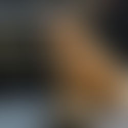 Arthur le petit sauvageon est à l'adoption !