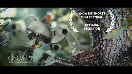 🎉 ¡Grandes Noticias! 🎬 Selecciones en Festivales Calificadores para los Premios Oscar 🏆, Goya 🏅 y los Principales Circuitos Internacionales 🌍✨