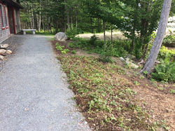 Woodland path at Performance Hall