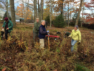 Planting At Our Mainescape Garden Site