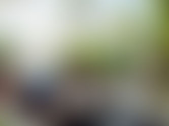 Networking is a professional gift