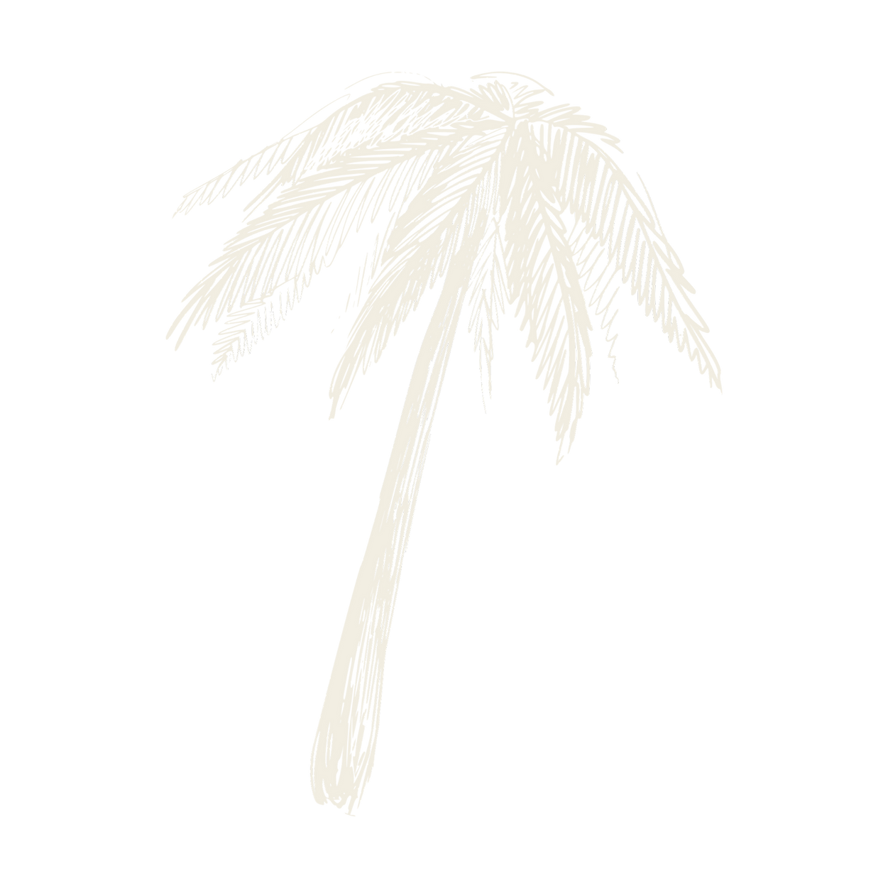 2_edited_edited.png