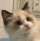 FullSizeRender (24).jpg