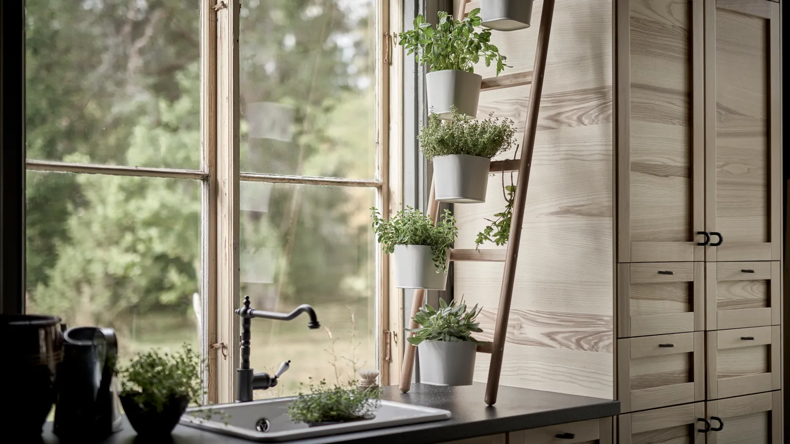 Herb garden near window and Kitchen sink